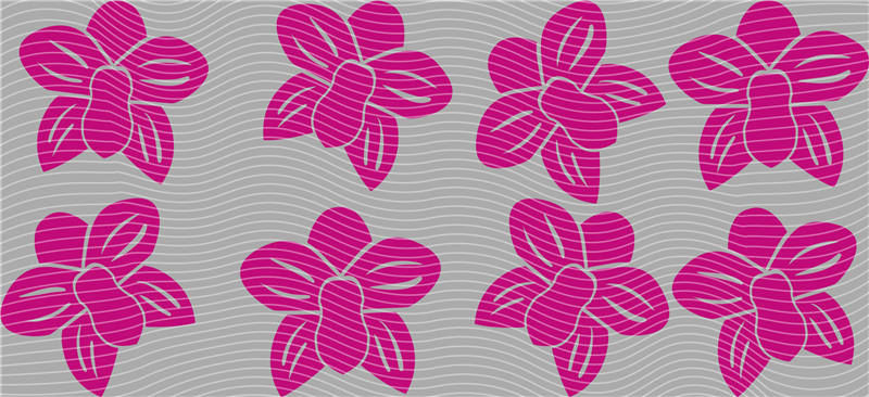 16oz Most popular-13164